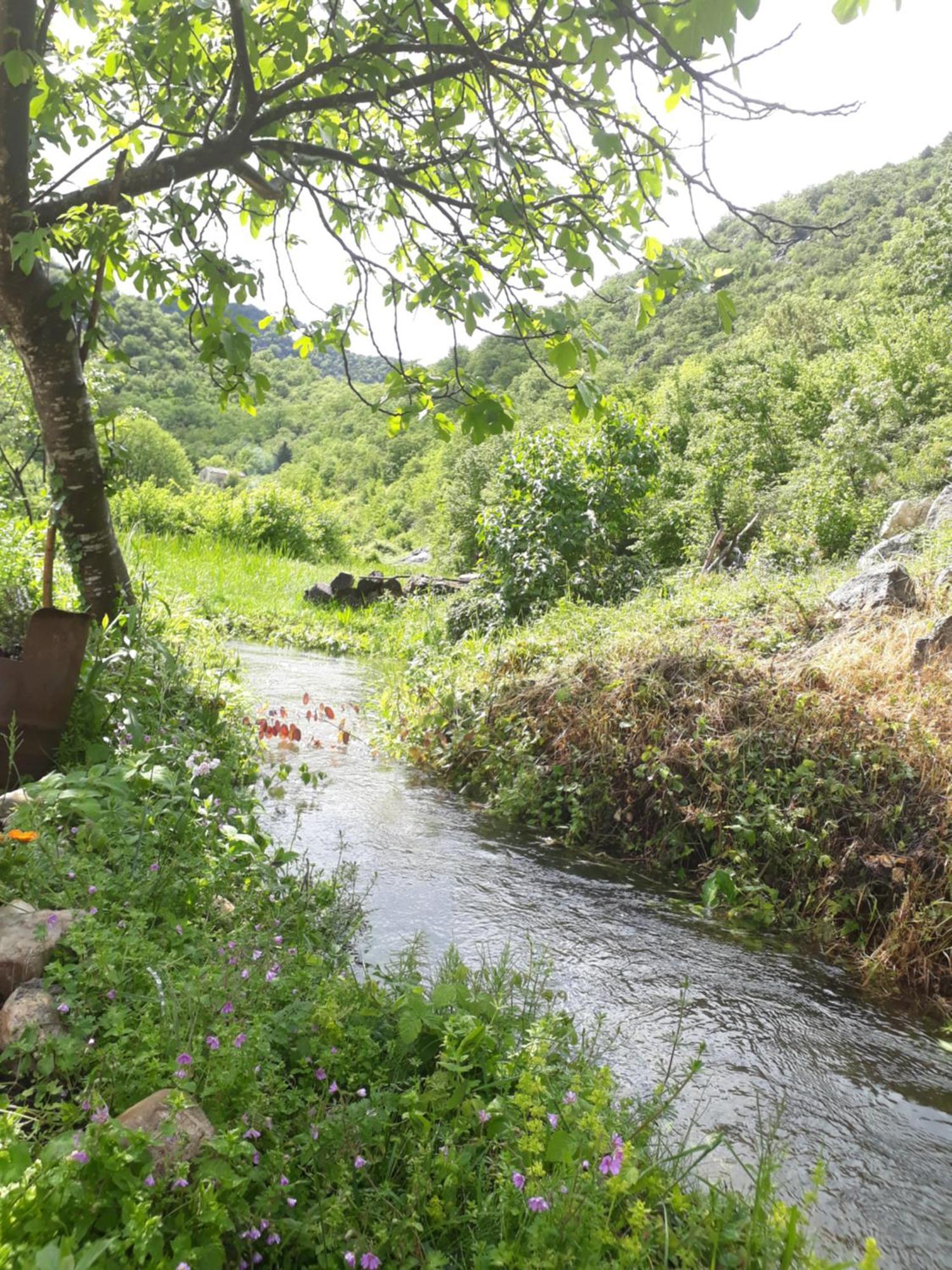 Camp Sunny Hills Hotel Virpazar Exterior foto