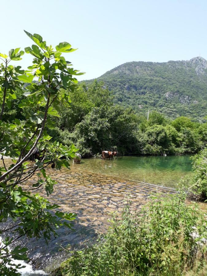 Camp Sunny Hills Hotel Virpazar Exterior foto
