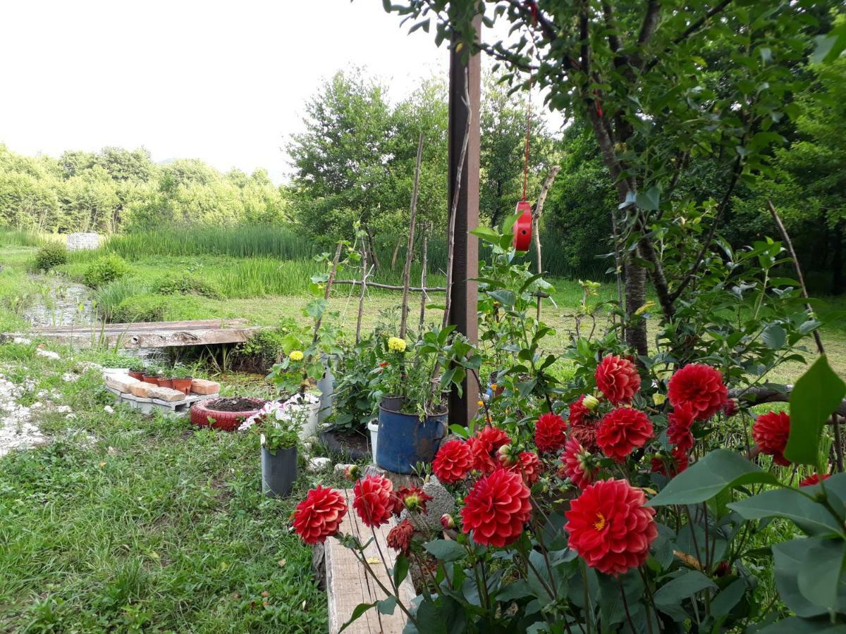 Camp Sunny Hills Hotel Virpazar Exterior foto