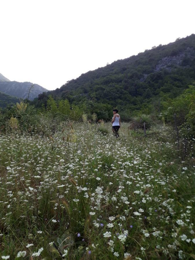 Camp Sunny Hills Hotel Virpazar Exterior foto